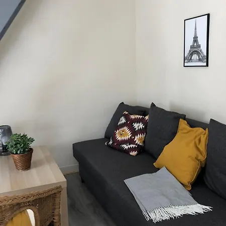 Duplex - Chez Delpha דירה פונטנבלו