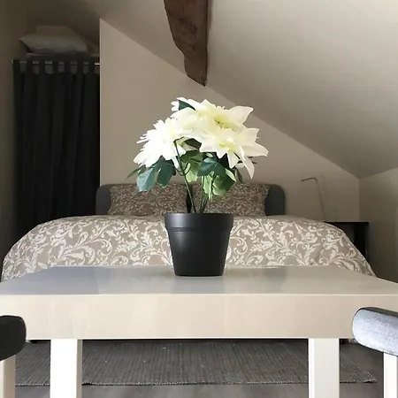 Duplex - Chez Delpha פונטנבלו