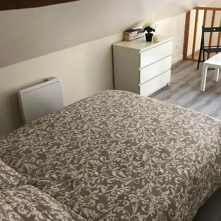 Duplex - Chez Delpha * פונטנבלו